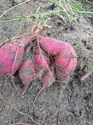 좋은인연님의 자유주제 · 자유게시판 작성글 사진