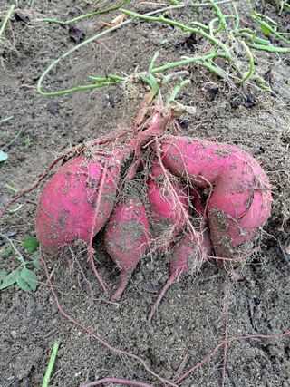 좋은인연님의 자유주제 · 자유게시판 작성글 사진