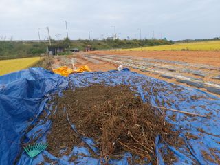 민들레 수연님의 벼 · 영농일지 작성글 사진