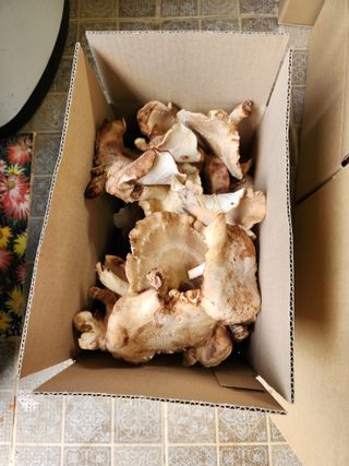 파란농원님의 가을 농장 자랑해주세요🧑‍🌾 · 참여글 작성글 사진