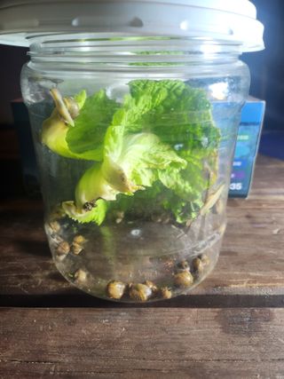 장기수님의 자유주제 · 자유게시판 작성글 사진