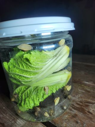 장기수님의 자유주제 · 자유게시판 작성글 사진