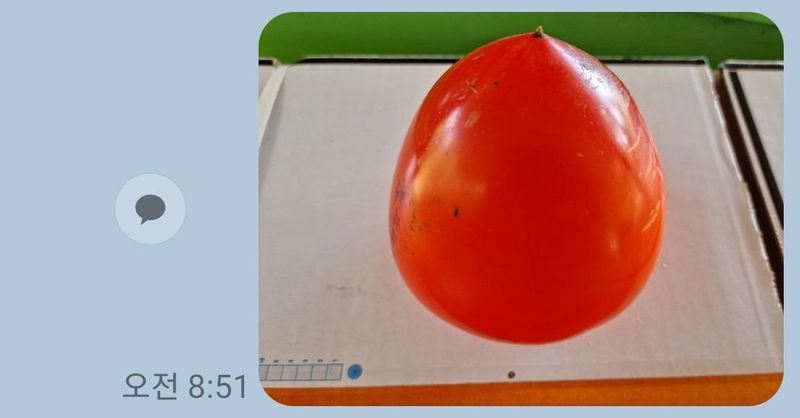 대봉매실주말농부님의 장터 판매 상품 [광양(대봉감) 10kg( 완판)] 첨부 사진