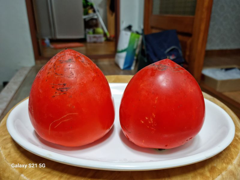 대봉매실주말농부님의 장터 판매 상품 [광양(대봉감) 10kg( 완판)] 첨부 사진