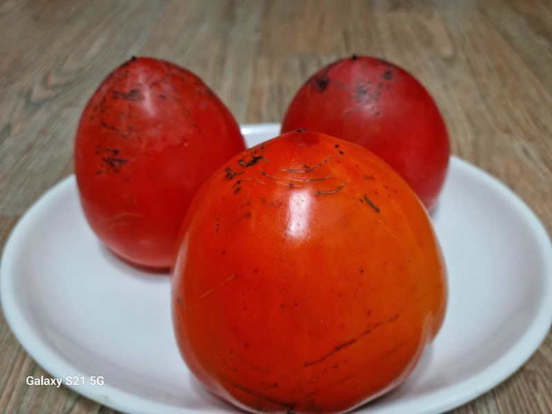 대봉매실주말농부님의 장터 판매 상품 [광양(대봉감) 10kg( 완판)] 첨부 사진