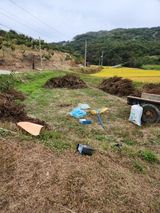 팜모닝 가을 농장 자랑해주세요🧑‍🌾·참여글 게시글 이미지