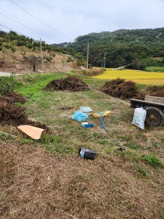 현길01021982님의 가을 농장 자랑해주세요🧑‍🌾 · 참여글 작성글 사진
