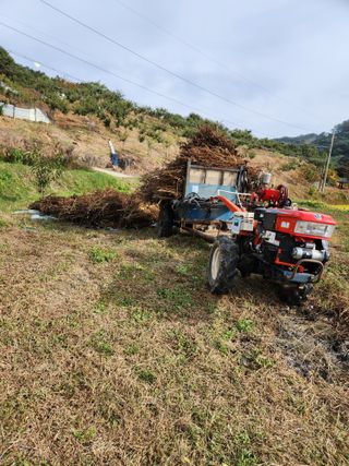 현길01021982님의 가을 농장 자랑해주세요🧑‍🌾 · 참여글 작성글 사진