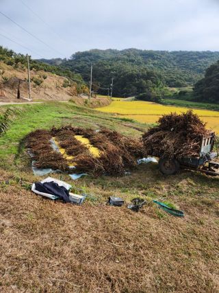현길01021982님의 가을 농장 자랑해주세요🧑‍🌾 · 참여글 작성글 사진