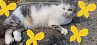 초록나무님의 자유주제 · 사진전 작성글 사진