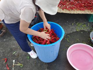 김광섭님의 가을 농장 자랑해주세요🧑‍🌾 · 참여글 작성글 사진