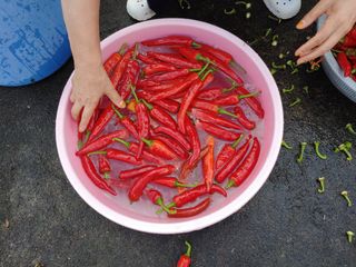 김광섭님의 가을 농장 자랑해주세요🧑‍🌾 · 참여글 작성글 사진