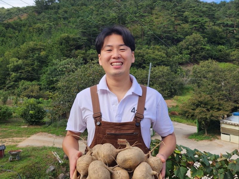 장터 상품 [얌빈 히카마 판매합니다 ] 썸네일