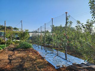 김영옥님의 자유주제 · 자유게시판 작성글 사진