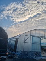 팜모닝 딸기·영농일지 게시글 이미지