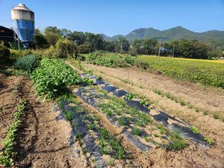 와랑님의 가을 농장 자랑해주세요🧑‍🌾 · 참여글 작성글 사진