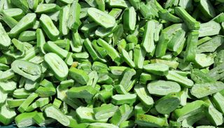 이정운님의 기타작물 · 자유게시판 작성글 사진