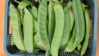 이정운님의 기타작물 · 자유게시판 작성글 사진