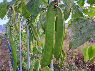 이정운님의 기타작물 · 자유게시판 작성글 사진