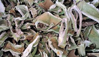 이정운님의 기타작물 · 자유게시판 작성글 사진