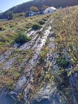 팜모닝 자유주제·자유게시판 게시글 이미지