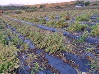 이종춘님의 자유주제 · 자유게시판 작성글 사진