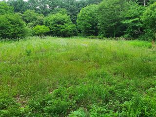 충열사호랑이님의 콩 · 자유게시판 작성글 사진