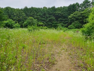 충열사호랑이님의 콩 · 자유게시판 작성글 사진