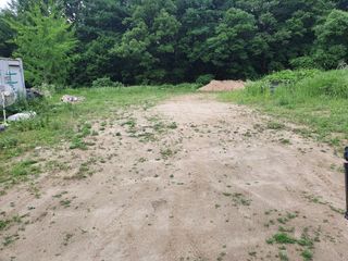 충열사호랑이님의 콩 · 자유게시판 작성글 사진