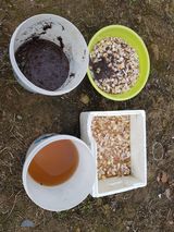 팜모닝 기타작물·자유게시판 게시글 이미지