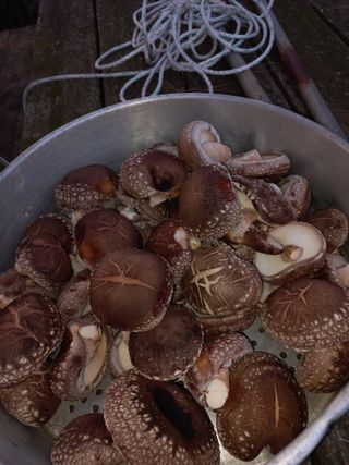 최유순님의 팜모닝공식 · 혜택 작성글 사진