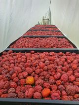 팜모닝 · 게시글 이미지