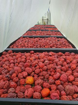 차상철님의 작성글 사진