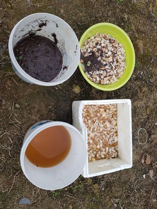 당근한개님의 콩 · 영농일지 작성글 사진