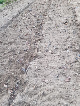 당근한개님의 콩 · 영농일지 작성글 사진