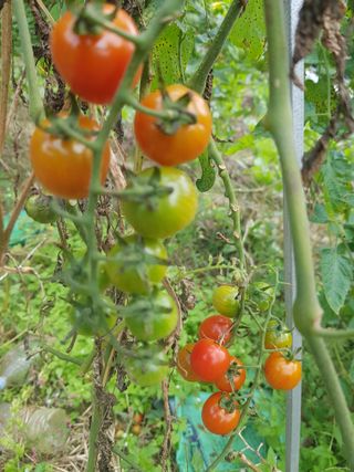 당근한개님의 자유주제 · 자유게시판 작성글 사진