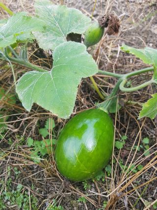 당근한개님의 자유주제 · 자유게시판 작성글 사진