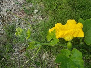 당근한개님의 자유주제 · 자유게시판 작성글 사진