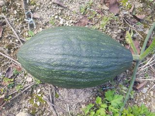 당근한개님의 자유주제 · 자유게시판 작성글 사진