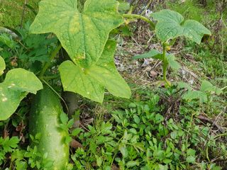 당근한개님의 자유주제 · 자유게시판 작성글 사진