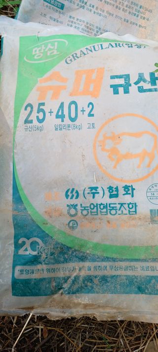 김기승님의 자유주제 · 자유게시판 작성글 사진