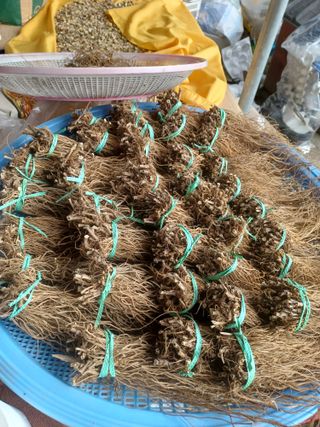 유경희님의 기타작물 · 자유게시판 작성글 사진