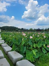 팜모닝 콩·자유게시판 게시글 이미지