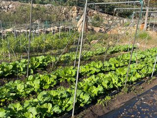 도곡님의 자유주제 · 자유게시판 작성글 사진