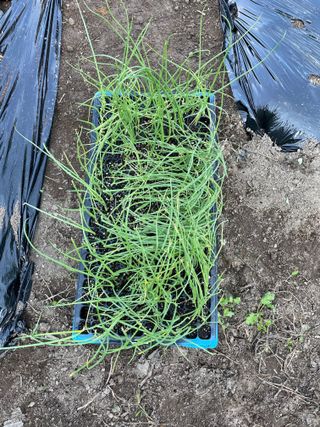 도곡님의 자유주제 · 자유게시판 작성글 사진