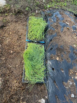 도곡님의 자유주제 · 자유게시판 작성글 사진