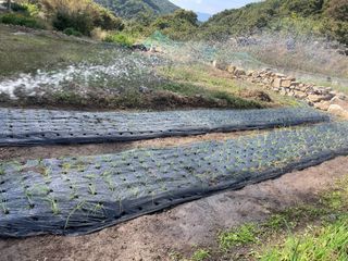 도곡님의 자유주제 · 자유게시판 작성글 사진