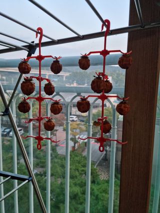 권오정님의 고구마 · 자유게시판 작성글 사진