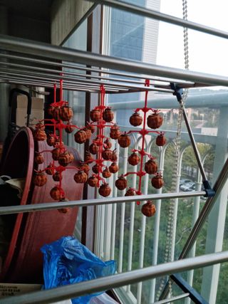 권오정님의 고구마 · 자유게시판 작성글 사진