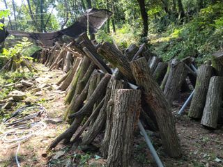 자연농원 순 강재옥님의 자유주제 · 자유게시판 작성글 사진